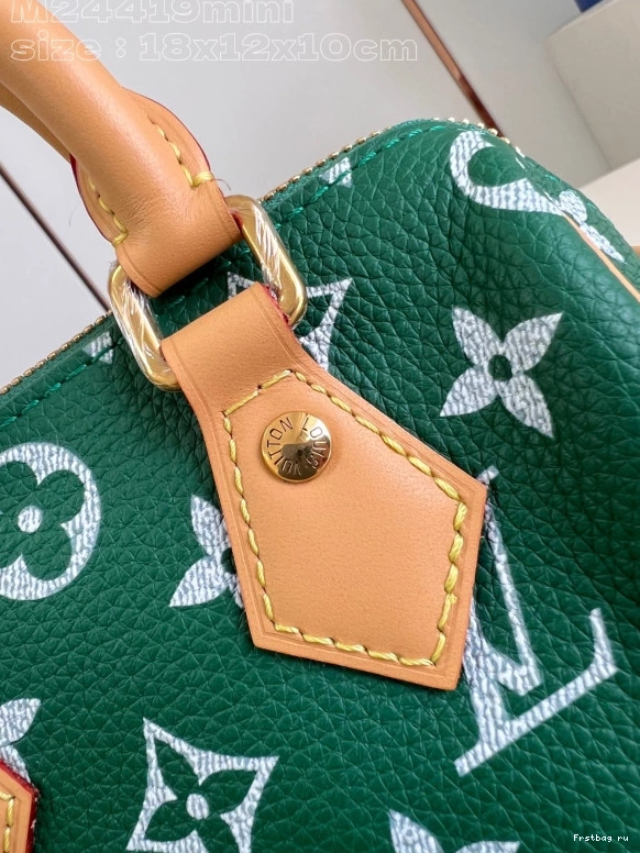 Frstbag ru 18 VUITTON SPEEDY LOUIS 0812
